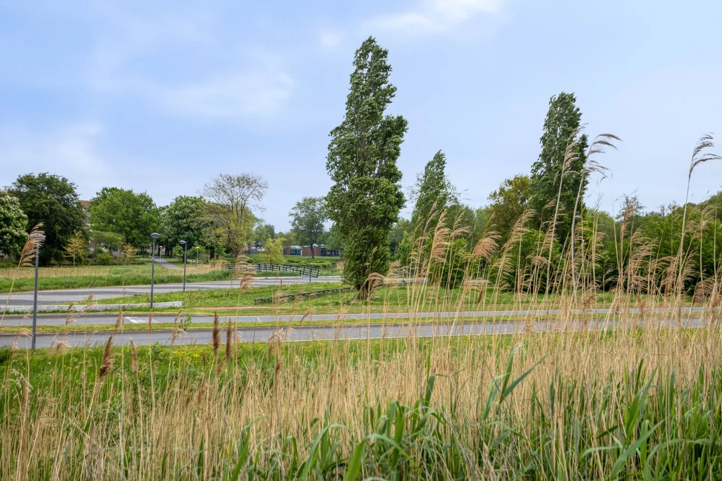 Vliegent Hert 68 Lelystad thumbnail 56