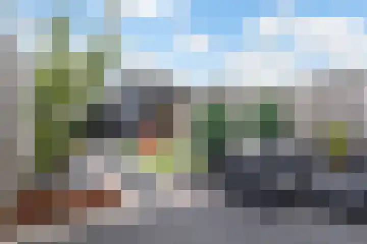 Vliegenzwam 133 Apeldoorn thumbnail 10