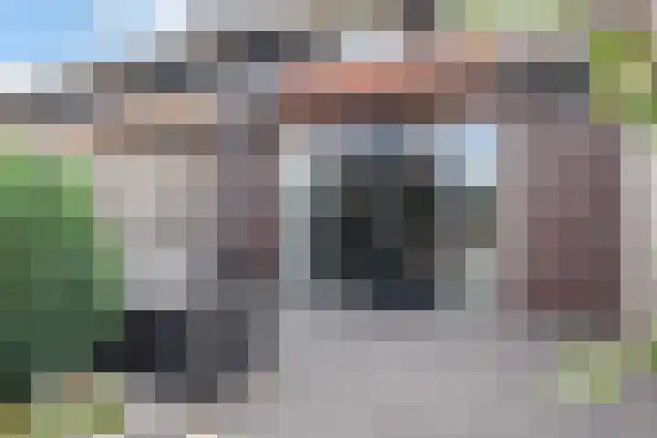 Vliegenzwam 133 Apeldoorn thumbnail 12
