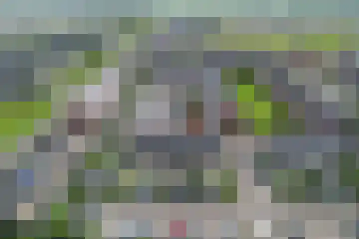 Vliegenzwam 133 Apeldoorn thumbnail 13