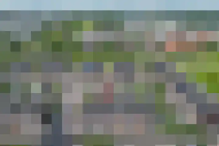 Vliegenzwam 133 Apeldoorn thumbnail 14