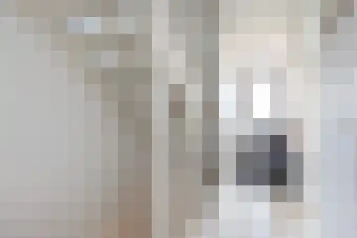 Vliegenzwam 133 Apeldoorn thumbnail 17