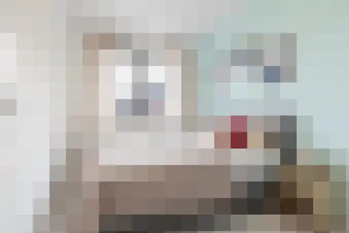 Vliegenzwam 133 Apeldoorn thumbnail 18