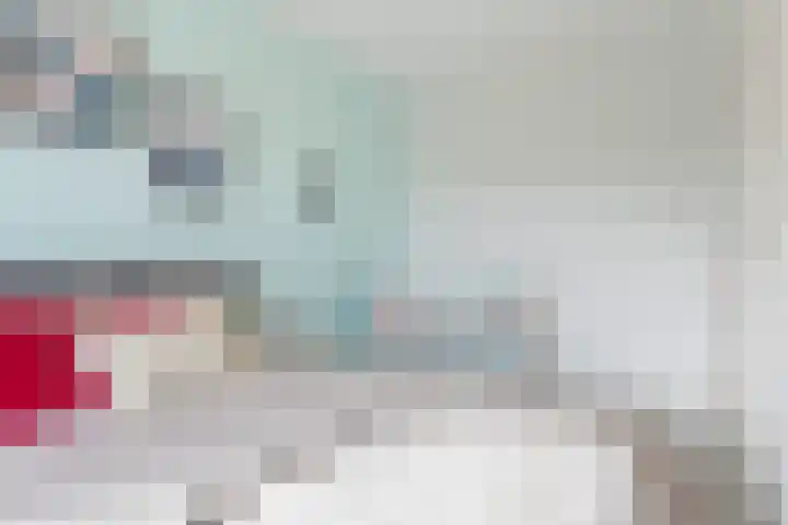 Vliegenzwam 133 Apeldoorn thumbnail 19