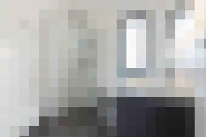 Vliegenzwam 133 Apeldoorn thumbnail 20