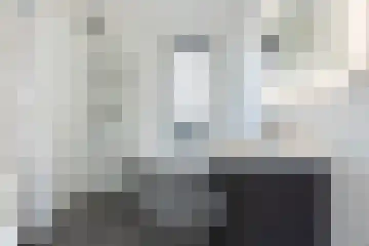 Vliegenzwam 133 Apeldoorn thumbnail 21