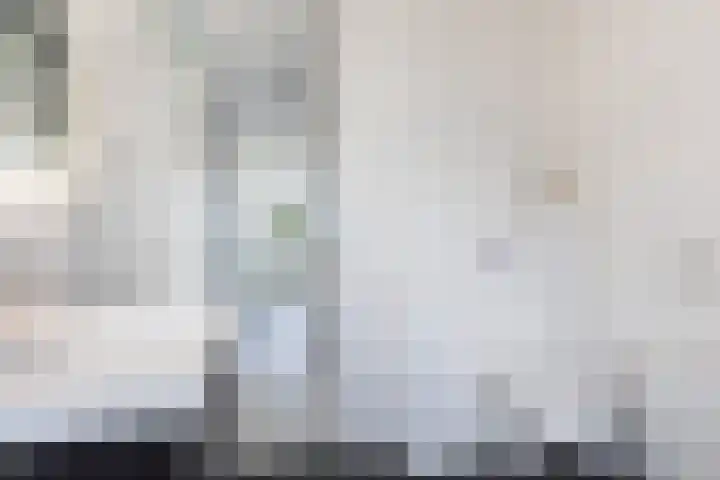 Vliegenzwam 133 Apeldoorn thumbnail 22