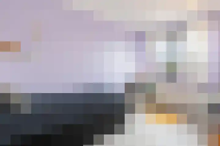 Vliegenzwam 133 Apeldoorn thumbnail 24