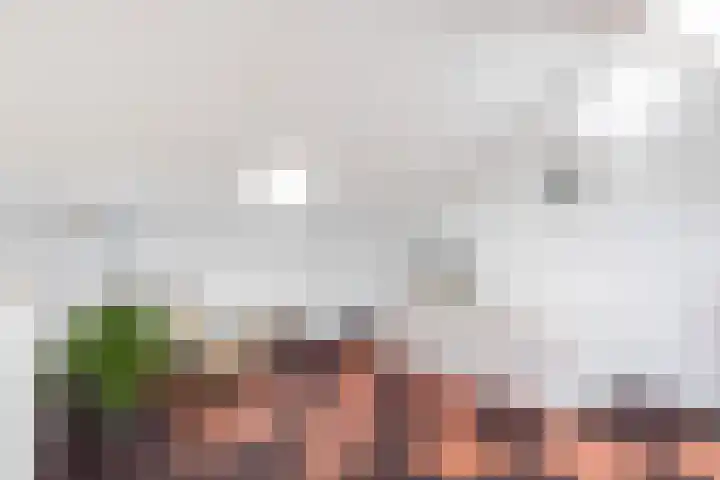 Vliegenzwam 133 Apeldoorn thumbnail 27
