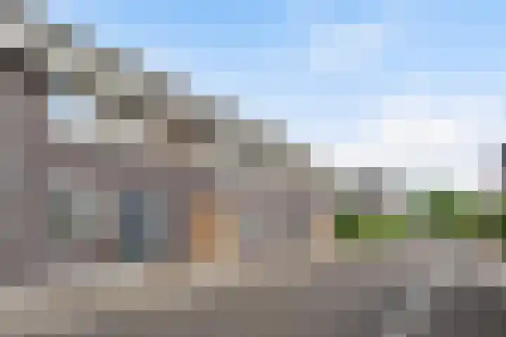 Vliegenzwam 133 Apeldoorn thumbnail 28