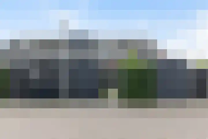 Vliegenzwam 133 Apeldoorn thumbnail 29