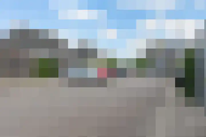 Vliegenzwam 133 Apeldoorn thumbnail 30