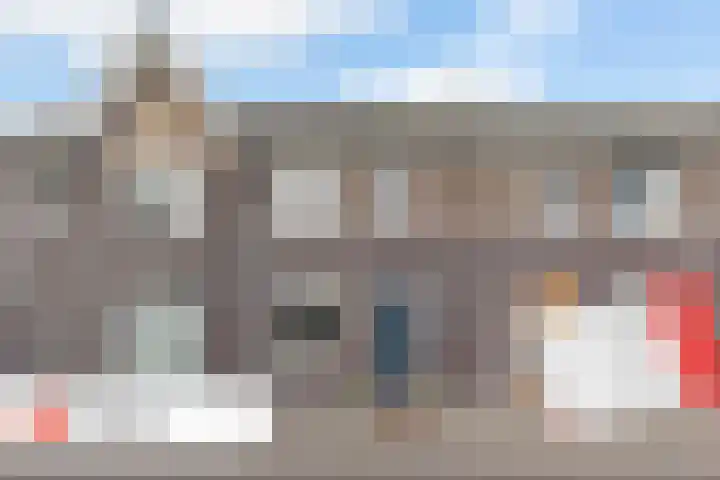 Vliegenzwam 133 Apeldoorn thumbnail 39