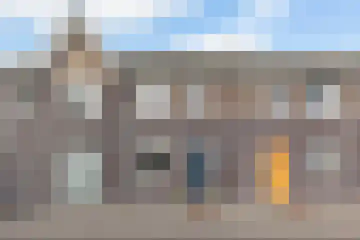 Vliegenzwam 133 Apeldoorn thumbnail 40