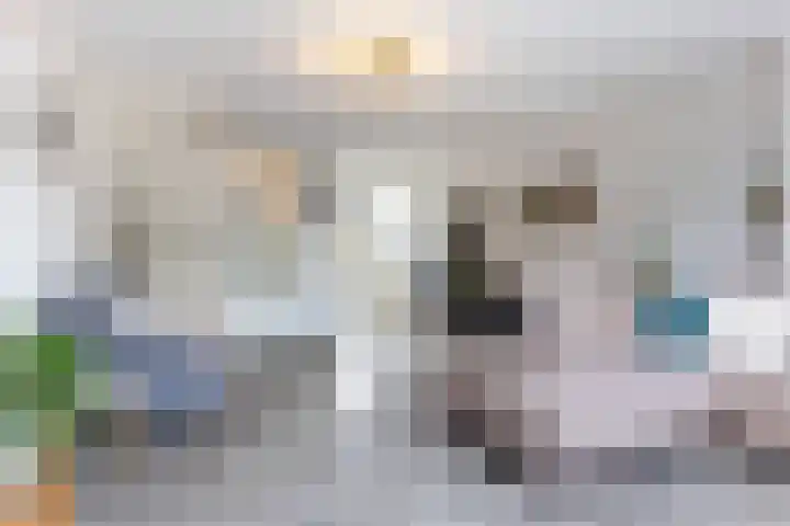 Vliegenzwam 133 Apeldoorn thumbnail 5