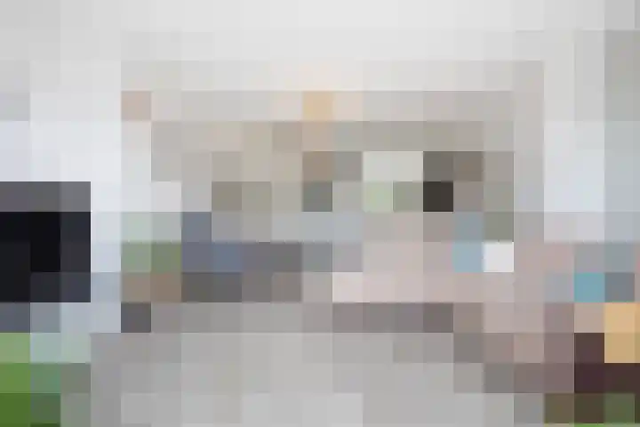 Vliegenzwam 133 Apeldoorn thumbnail 6