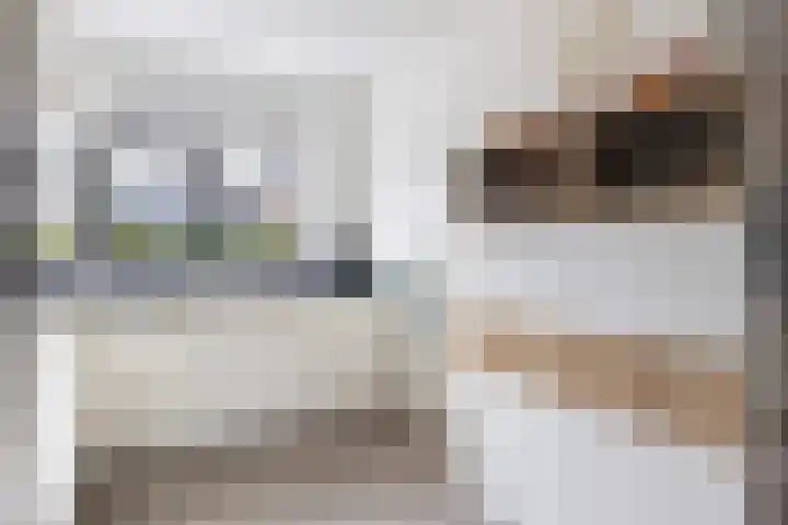 Vliegenzwam 133 Apeldoorn thumbnail 7