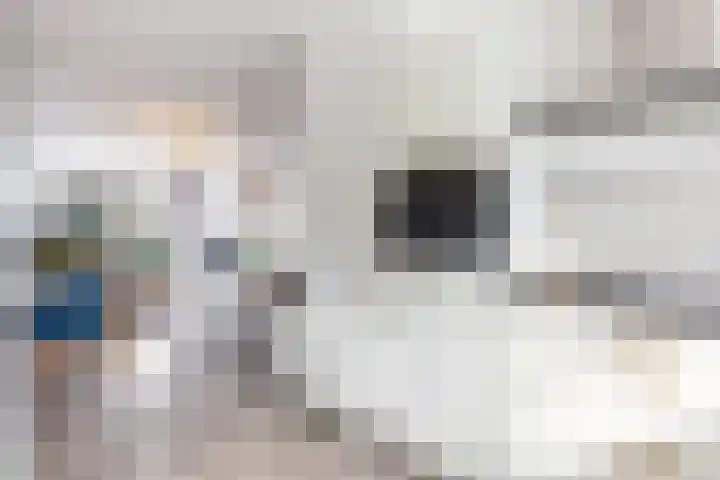 Vliegenzwam 133 Apeldoorn thumbnail 8
