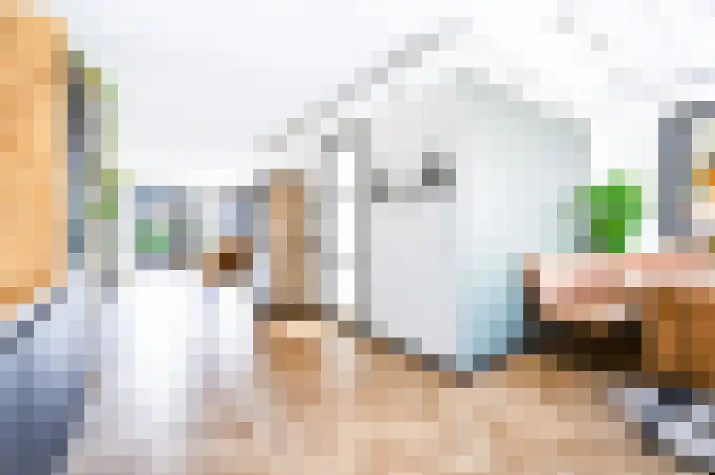 Vliegenzwam 24 Apeldoorn thumbnail 10