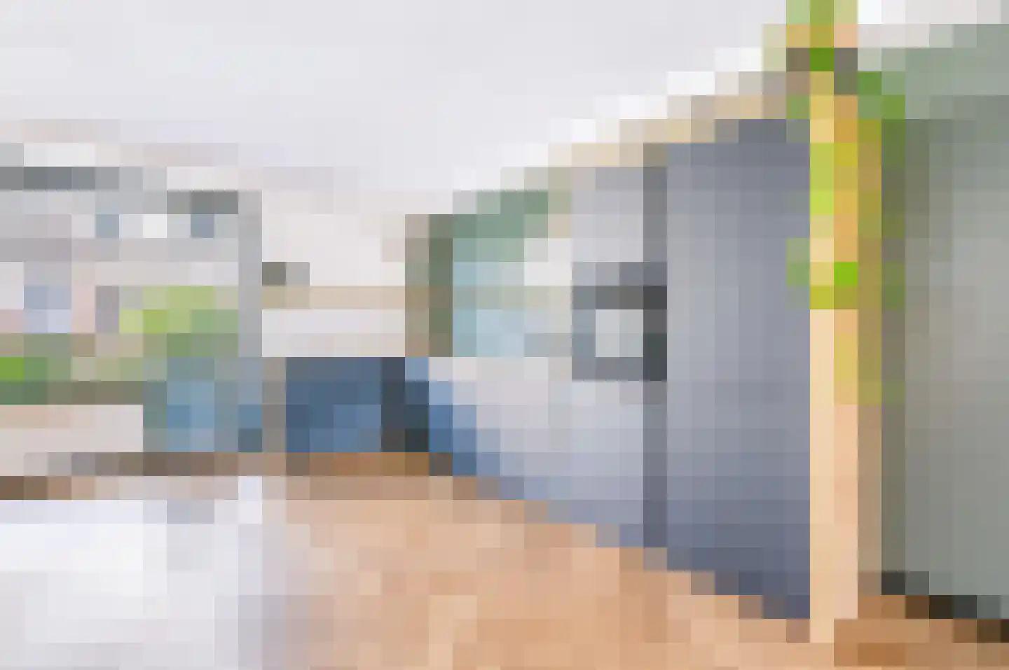 Vliegenzwam 24 Apeldoorn thumbnail 11