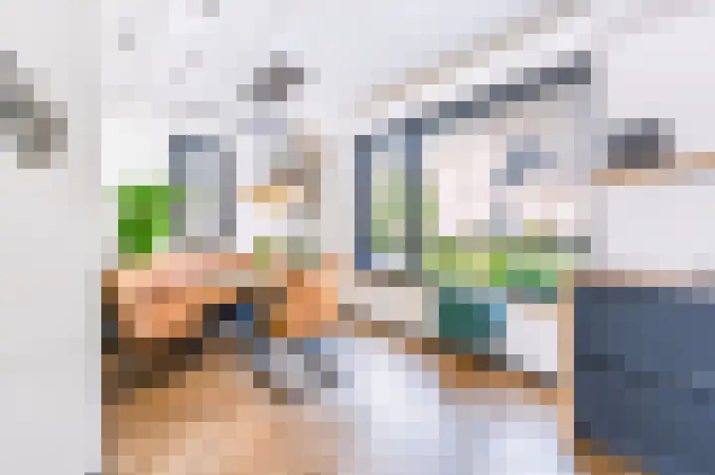 Vliegenzwam 24 Apeldoorn thumbnail 13
