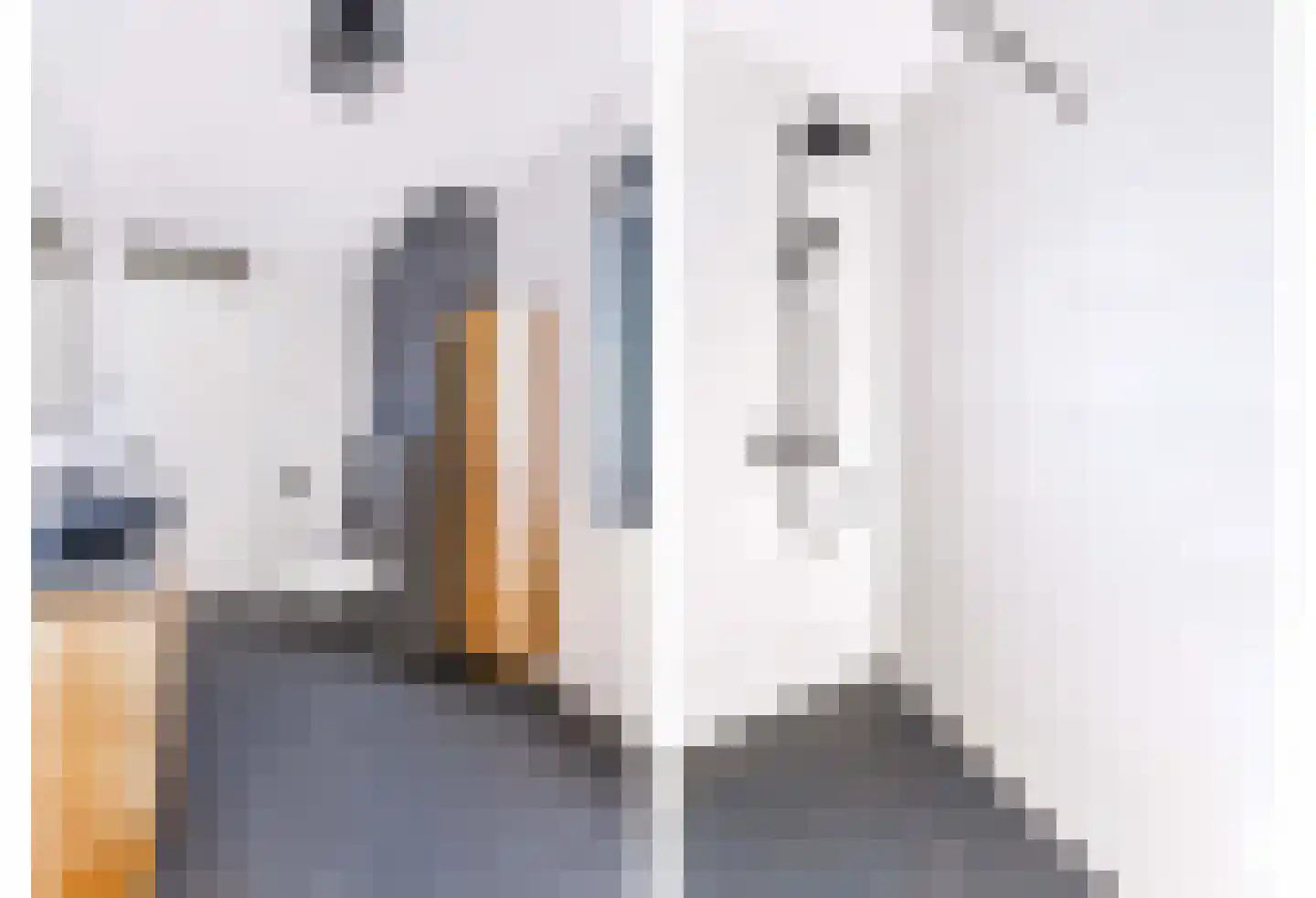 Vliegenzwam 24 Apeldoorn thumbnail 19