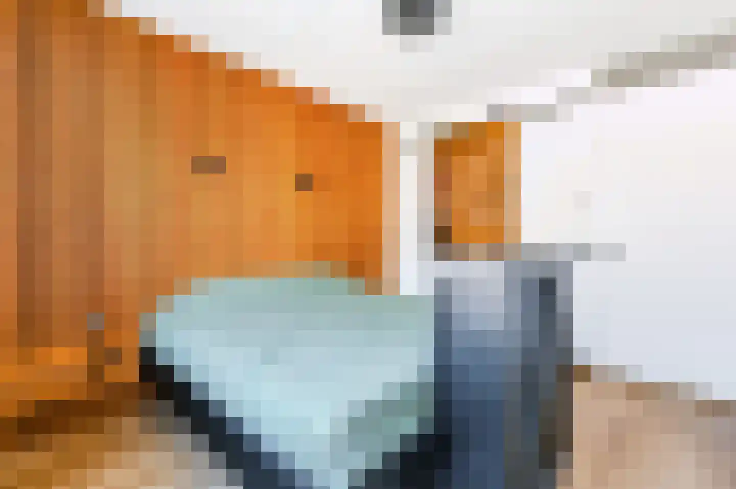 Vliegenzwam 24 Apeldoorn thumbnail 21