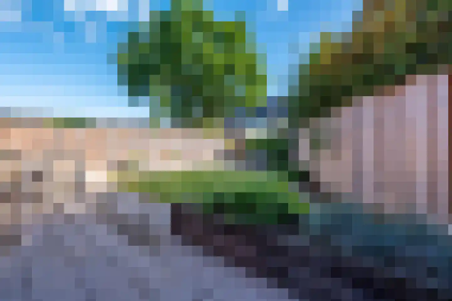 Vliegenzwam 24 Apeldoorn thumbnail 29