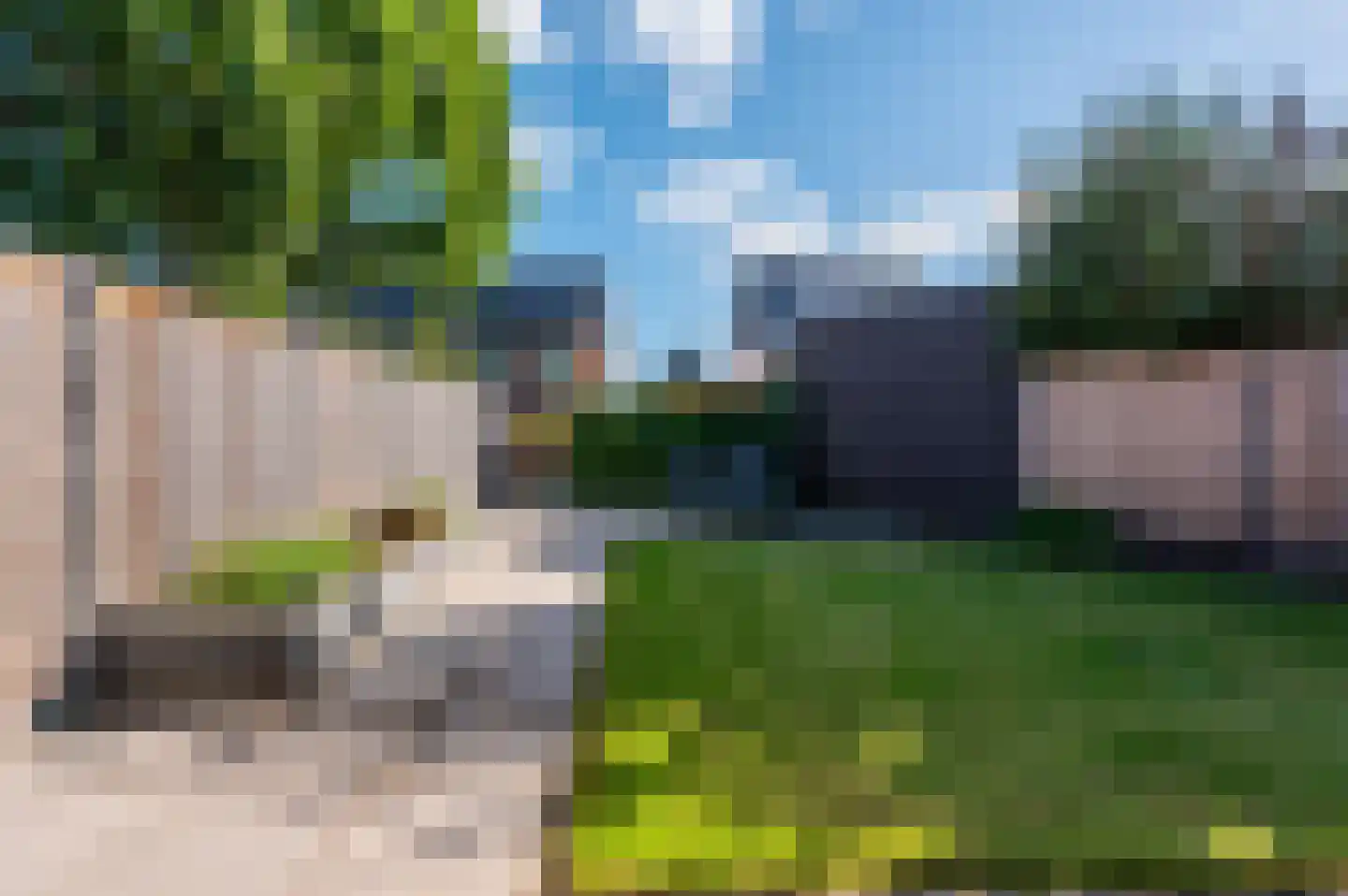 Vliegenzwam 24 Apeldoorn thumbnail 31