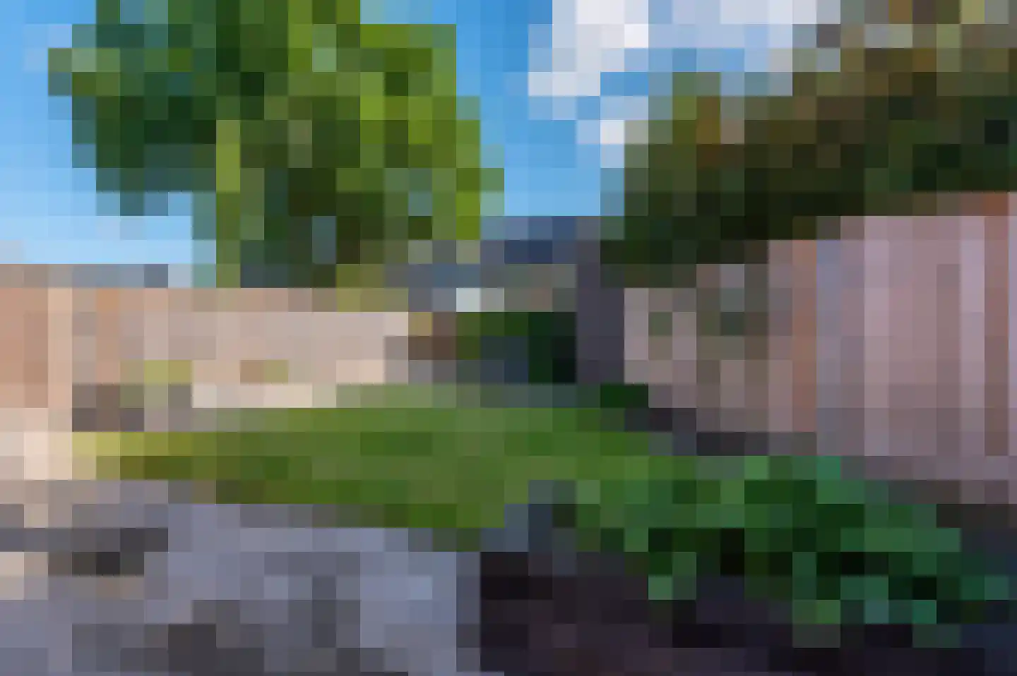Vliegenzwam 24 Apeldoorn thumbnail 32