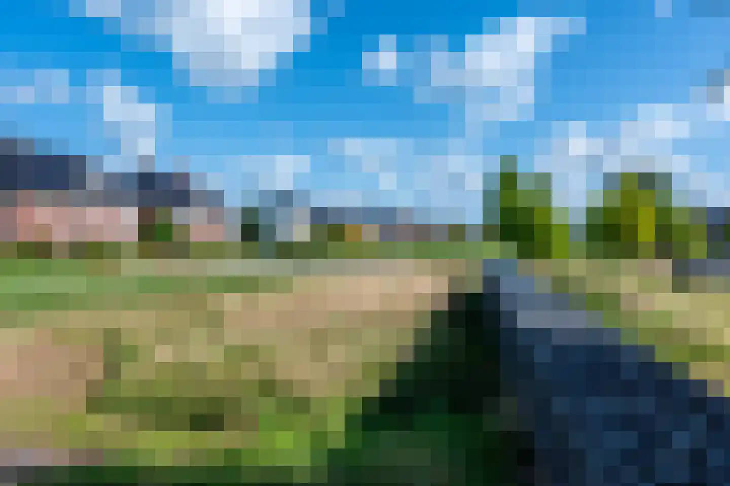 Vliegenzwam 24 Apeldoorn thumbnail 35