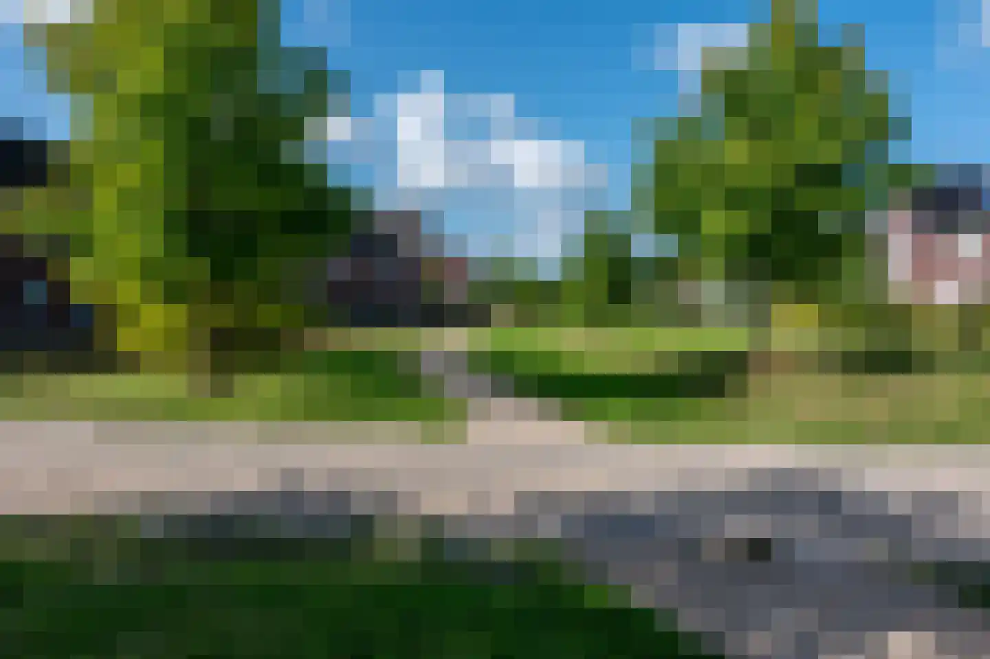 Vliegenzwam 24 Apeldoorn thumbnail 36