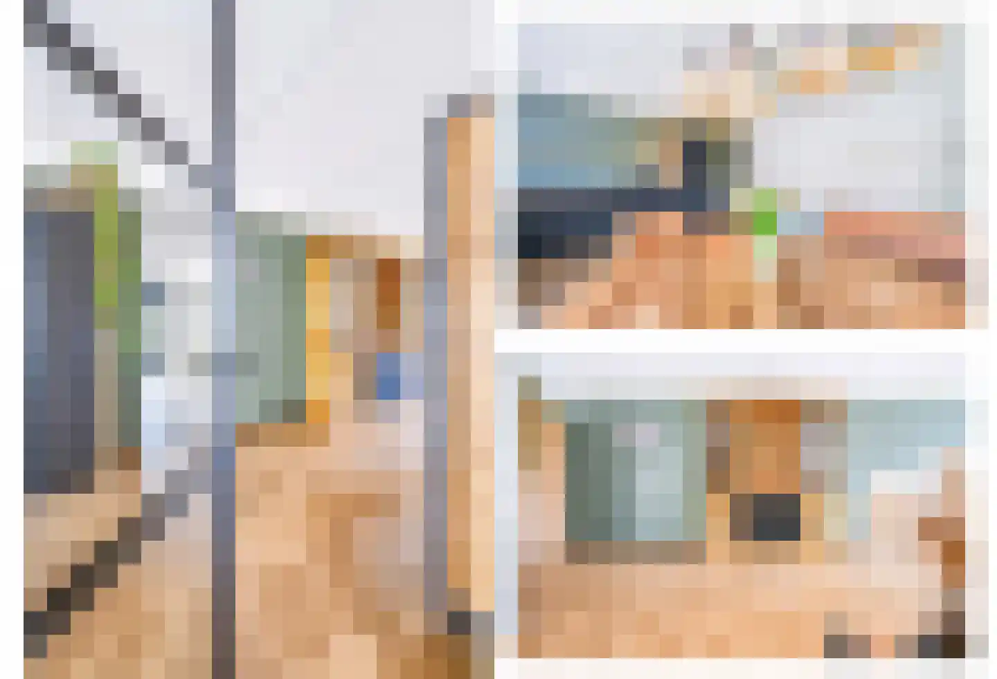 Vliegenzwam 24 Apeldoorn thumbnail 4