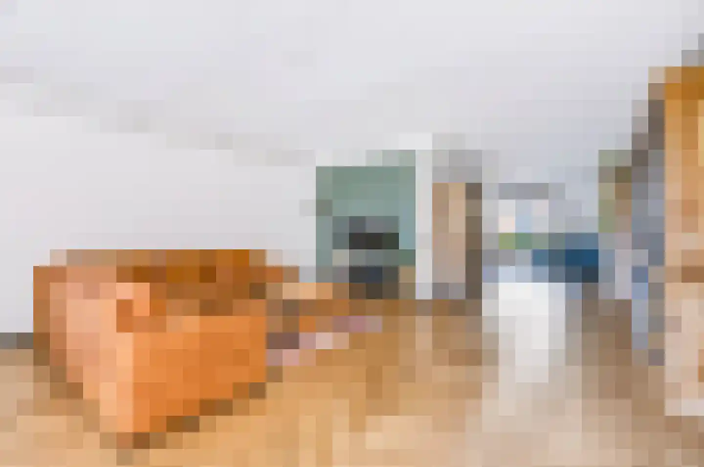 Vliegenzwam 24 Apeldoorn thumbnail 5