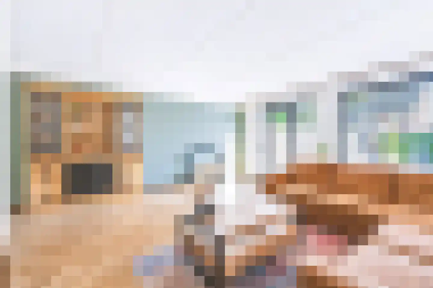 Vliegenzwam 24 Apeldoorn thumbnail 6
