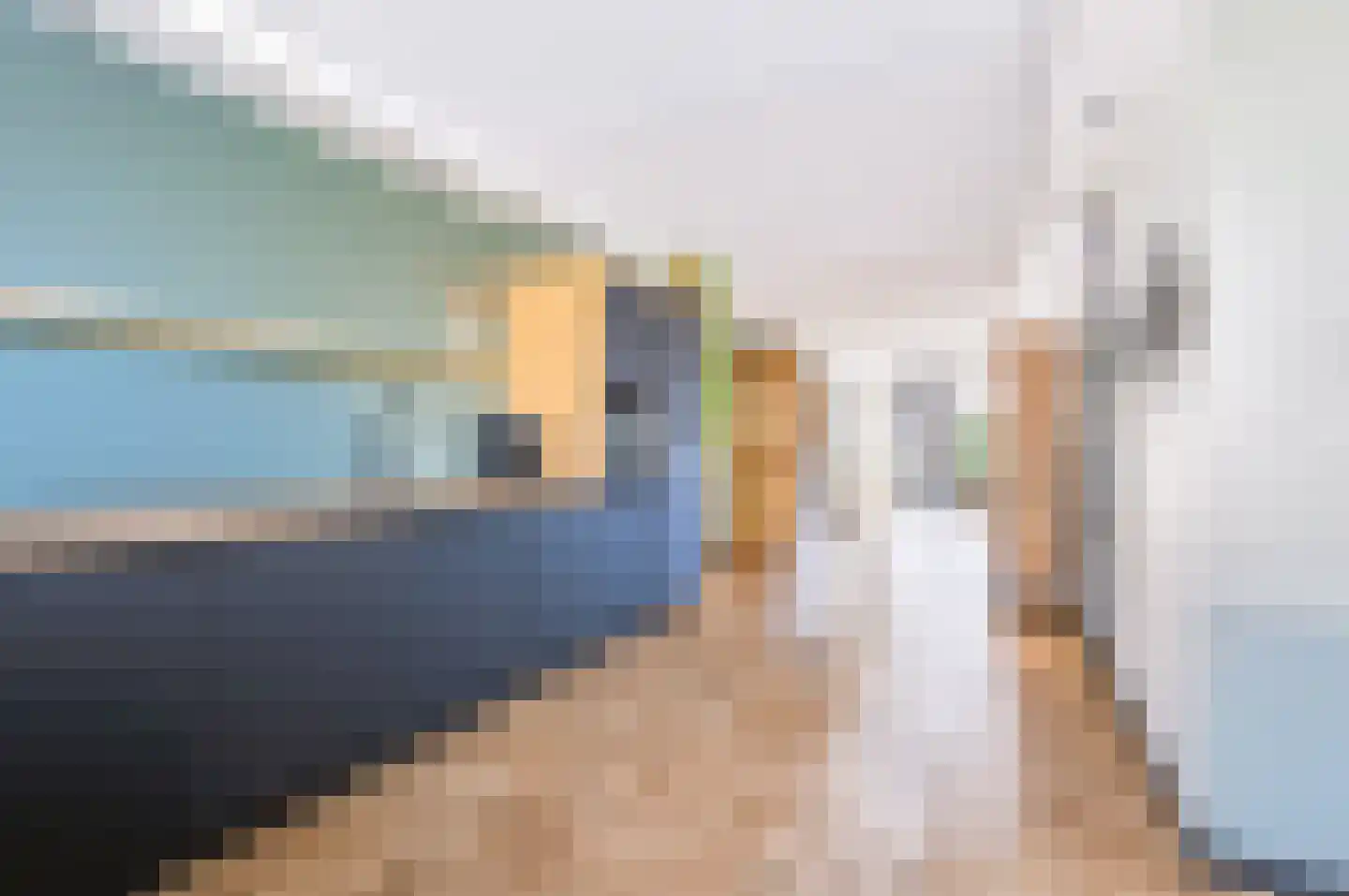 Vliegenzwam 24 Apeldoorn thumbnail 7