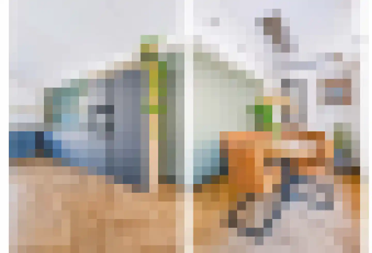 Vliegenzwam 24 Apeldoorn thumbnail 8