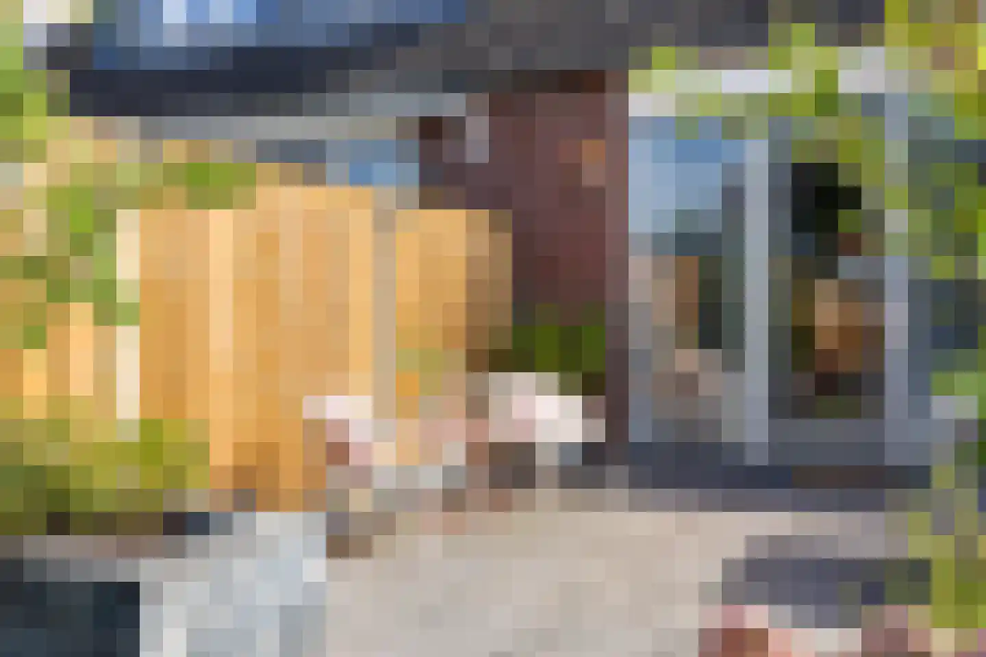 Vliegenzwam 35 Apeldoorn thumbnail 17