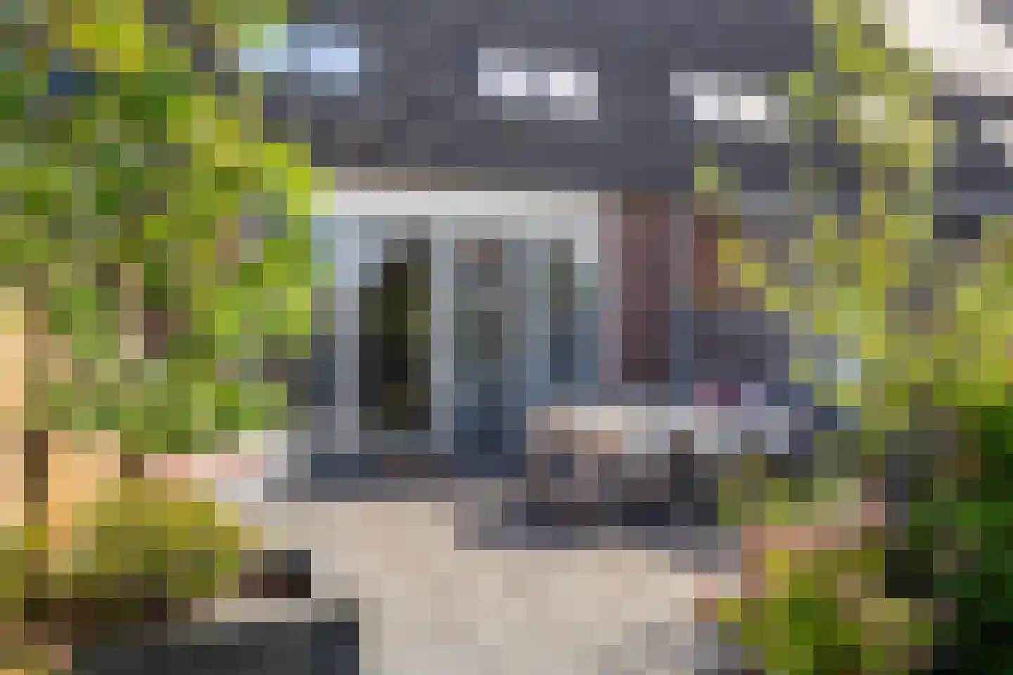 Vliegenzwam 35 Apeldoorn thumbnail 18