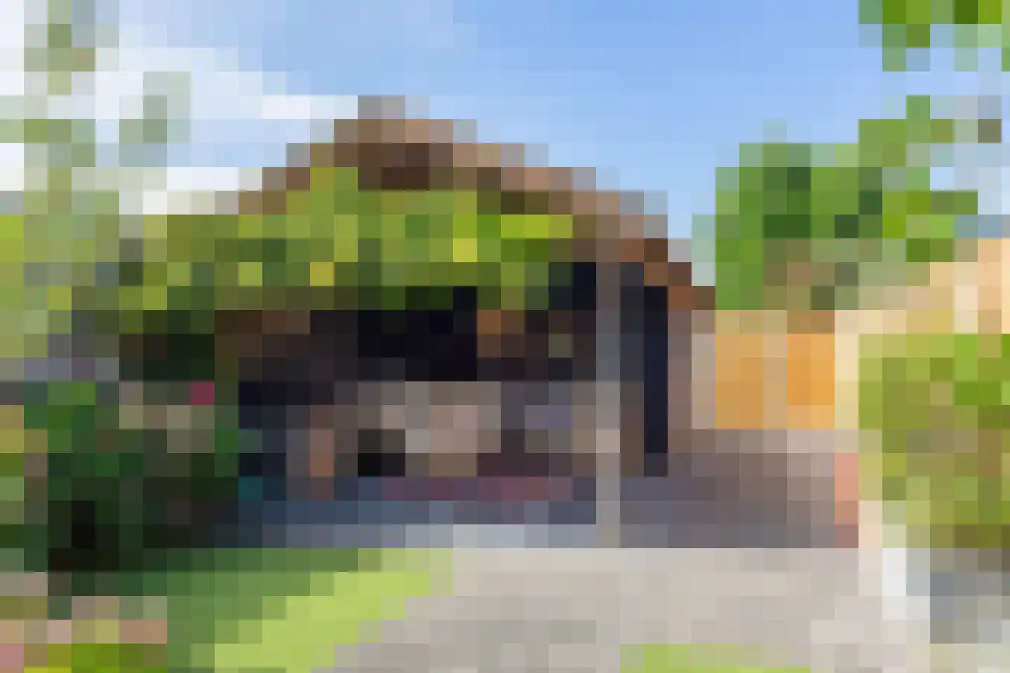 Vliegenzwam 35 Apeldoorn thumbnail 19