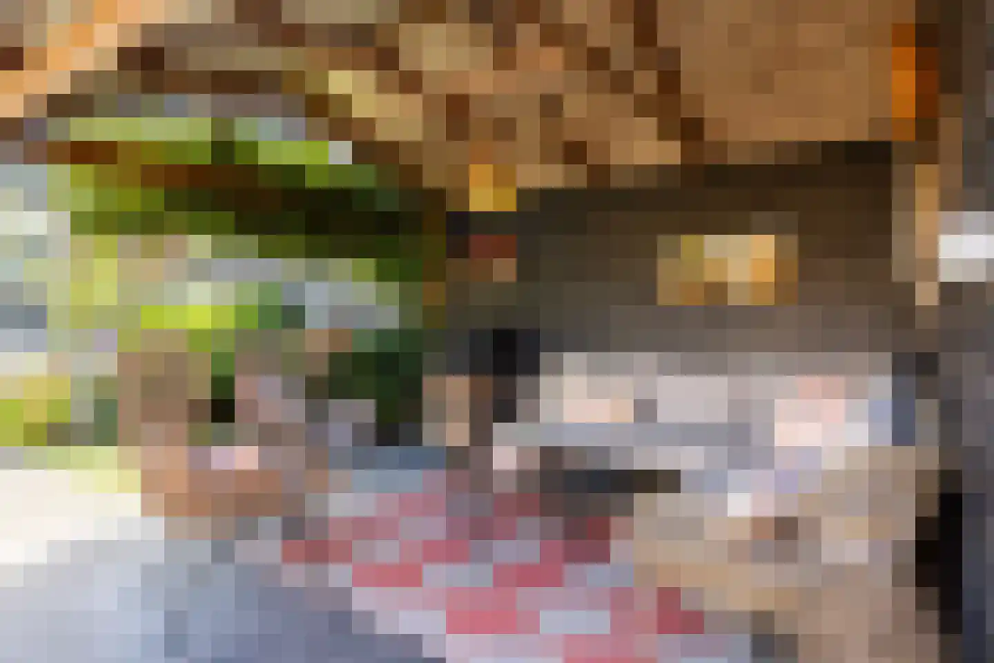 Vliegenzwam 35 Apeldoorn thumbnail 20