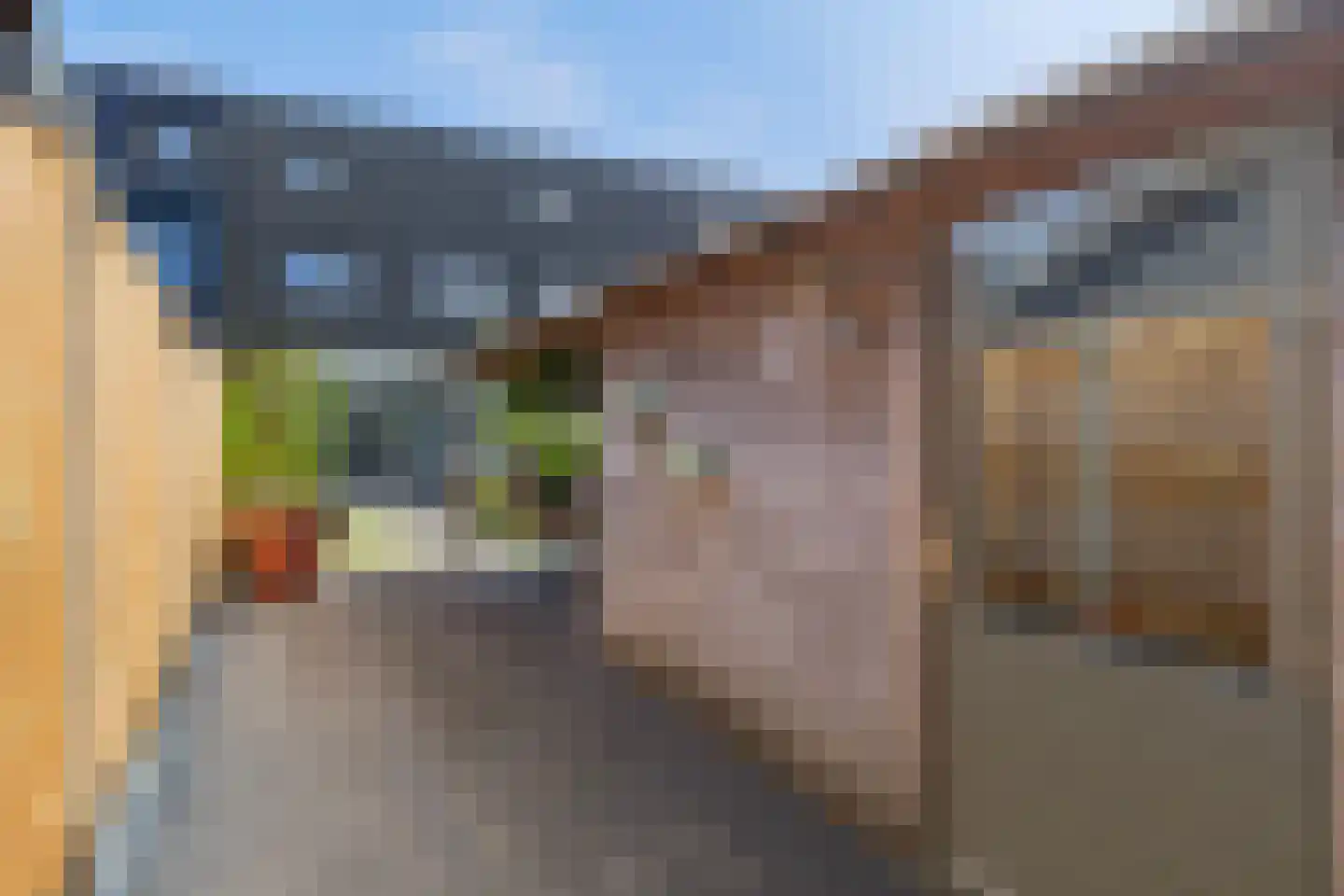 Vliegenzwam 35 Apeldoorn thumbnail 21