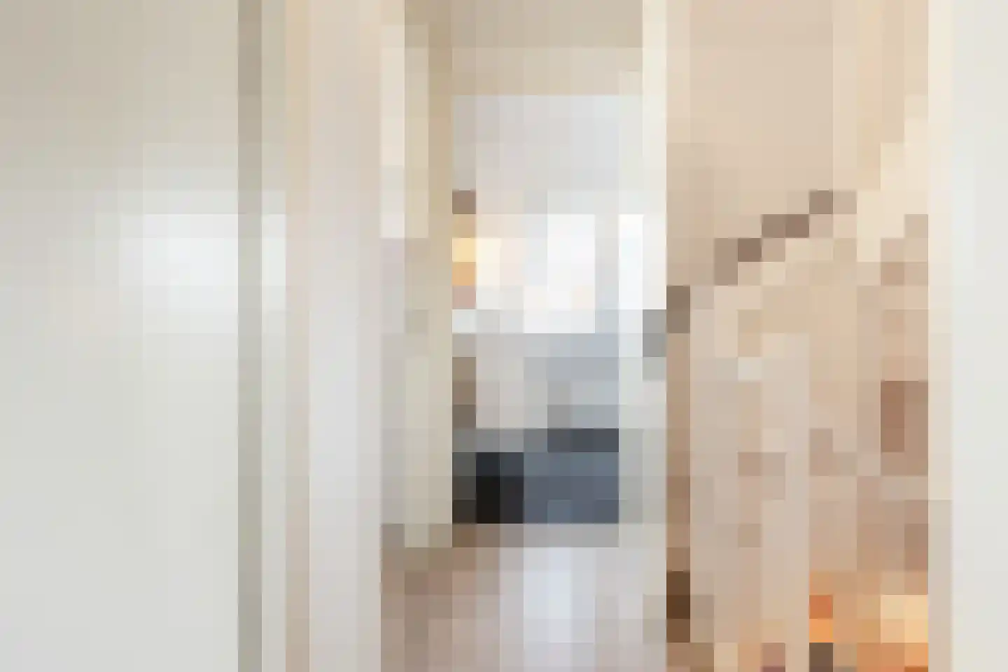 Vliegenzwam 35 Apeldoorn thumbnail 30