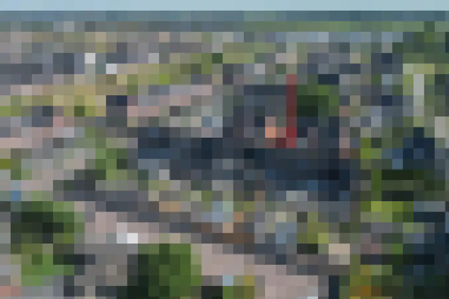 Vliegenzwam 35 Apeldoorn thumbnail 36