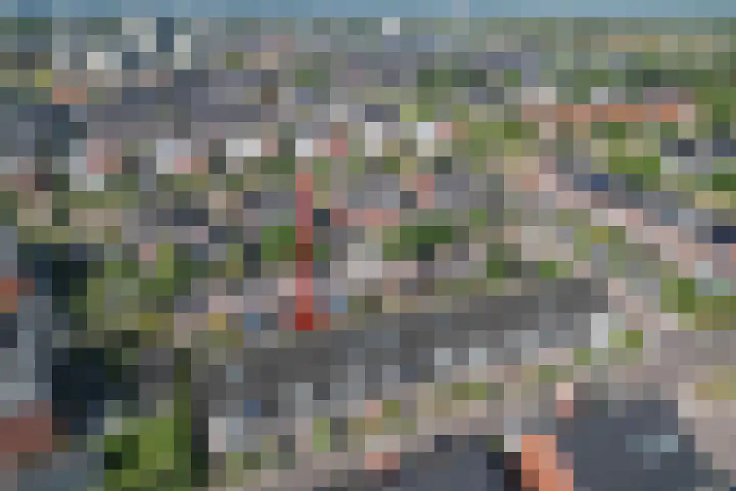 Vliegenzwam 35 Apeldoorn thumbnail 37
