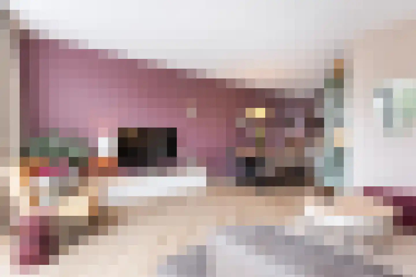 Vliegenzwam 35 Apeldoorn thumbnail 7