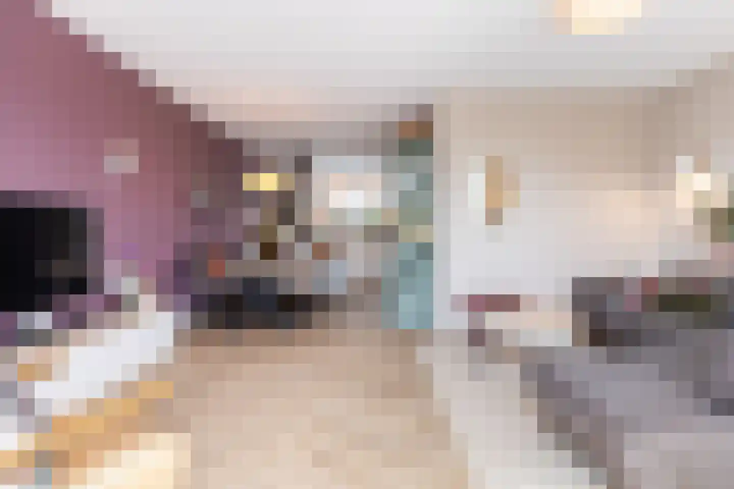 Vliegenzwam 35 Apeldoorn thumbnail 8
