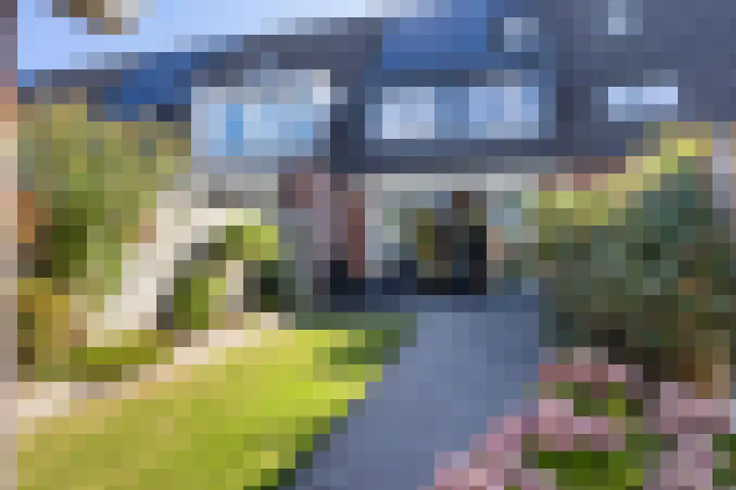 Vliegenzwam 37 Apeldoorn thumbnail 12
