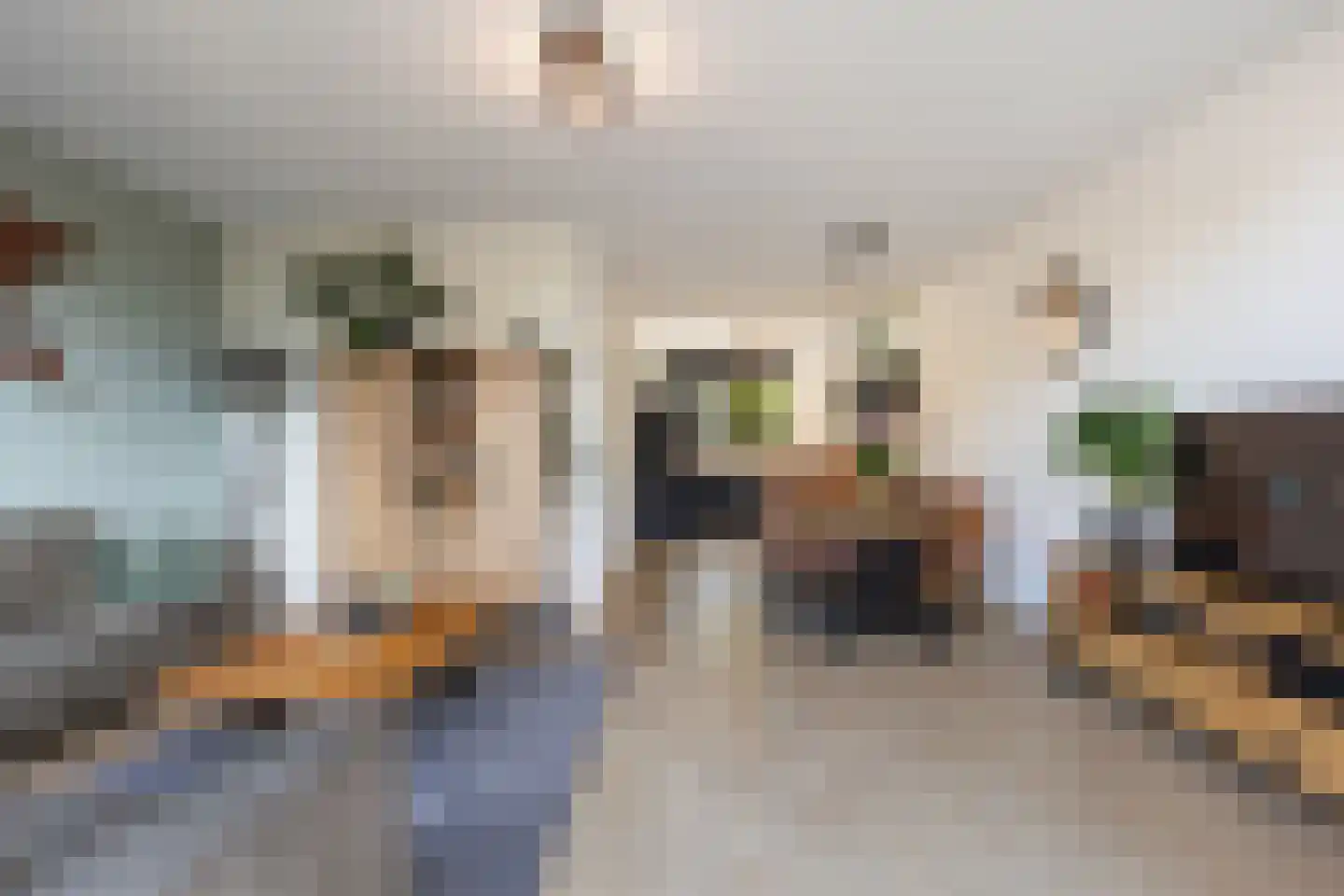 Vliegenzwam 37 Apeldoorn thumbnail 13