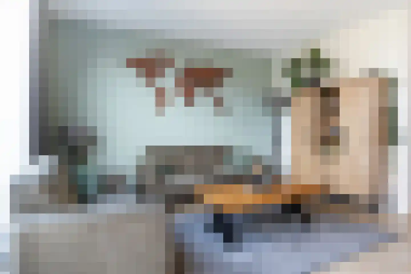 Vliegenzwam 37 Apeldoorn thumbnail 14